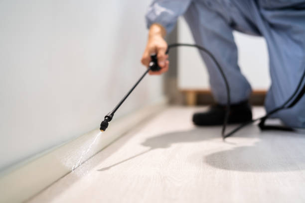 Licensed Pest Control service in Red Wing, MN - Show Me Pest Control