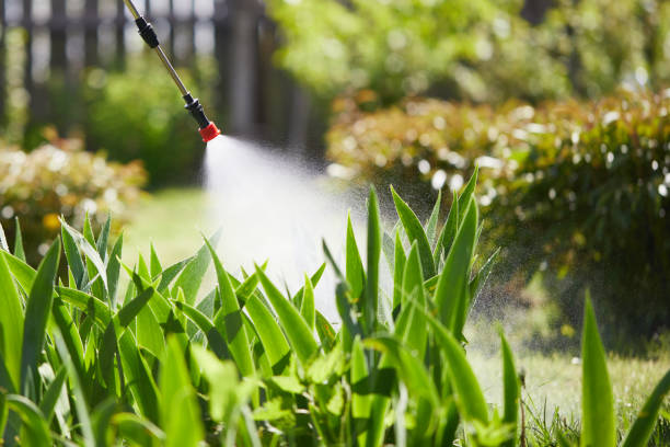 24/7 Emergency Mosquito Control experts in Red Wing, MN